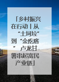 乡村振兴在行动丨从“土坷垃”到“金疙瘩” 卢龙甘薯串起富民产业链