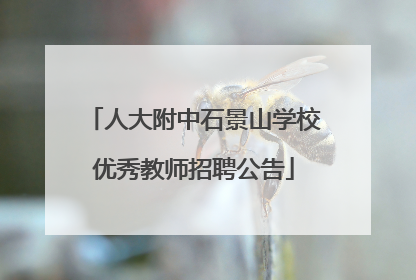 人大附中石景山学校优秀教师招聘公告