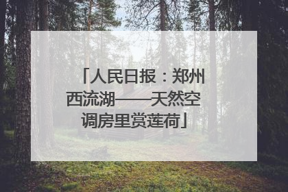 人民日报：郑州西流湖——天然空调房里赏莲荷