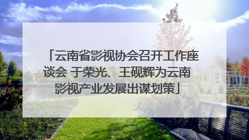云南省影视协会召开工作座谈会 于荣光、王砚辉为云南影视产业发展出谋划策