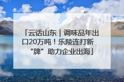 云话山东｜调味品年出口20万吨！乐陵连打新“牌”助力企业出海