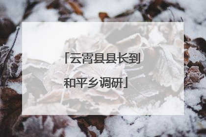 云霄县县长到和平乡调研