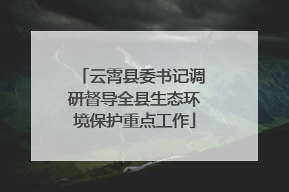 云霄县委书记调研督导全县生态环境保护重点工作