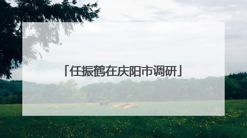 任振鹤在庆阳市调研
