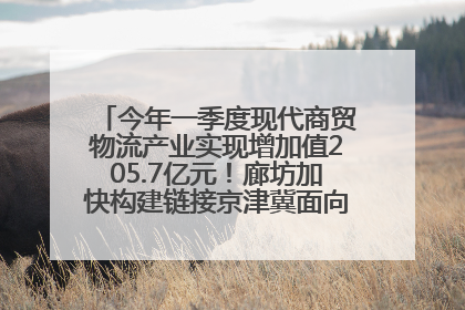 今年一季度现代商贸物流产业实现增加值205.7亿元！廊坊加快构建链接京津冀面向全世界的物流通道