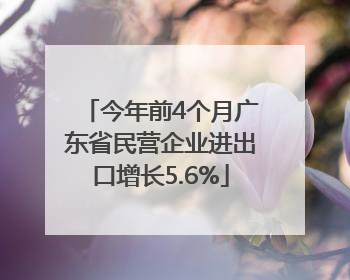 今年前4个月广东省民营企业进出口增长5.6%