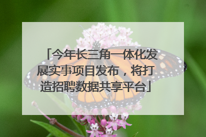 今年长三角一体化发展实事项目发布，将打造招聘数据共享平台