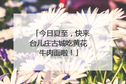 今日夏至，快来台儿庄古城吃黄花牛肉面啦！