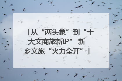 从“两头象”到“十大文商旅新IP” 新乡文旅“火力全开”