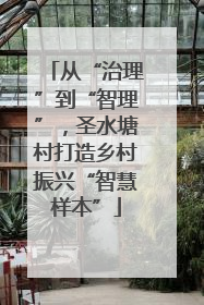 从“治理”到“智理”，圣水塘村打造乡村振兴“智慧样本”