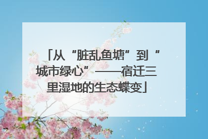 从“脏乱鱼塘”到“城市绿心”——宿迁三里湿地的生态蝶变
