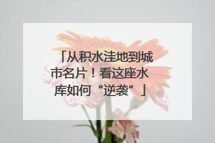 从积水洼地到城市名片！看这座水库如何“逆袭”