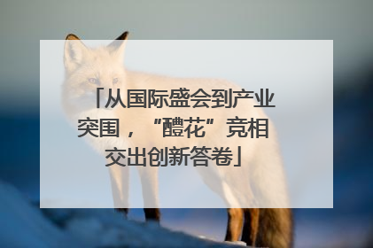 从国际盛会到产业突围，“醴花”竞相交出创新答卷