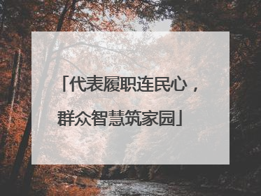 代表履职连民心，群众智慧筑家园