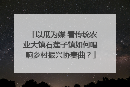 以瓜为媒 看传统农业大镇石莲子镇如何唱响乡村振兴协奏曲？