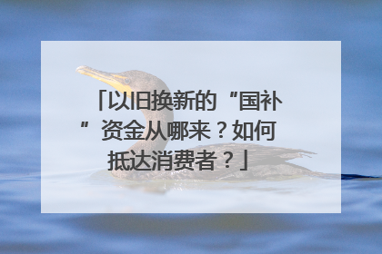 以旧换新的“国补”资金从哪来？如何抵达消费者？