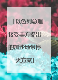 以色列总理接受美方提出的加沙地带停火方案