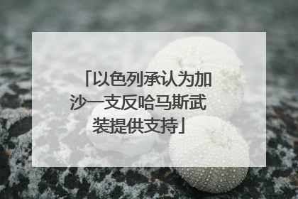 以色列承认为加沙一支反哈马斯武装提供支持