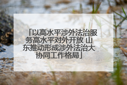以高水平涉外法治服务高水平对外开放 山东推动形成涉外法治大协同工作格局