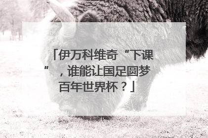 伊万科维奇“下课”，谁能让国足圆梦百年世界杯？