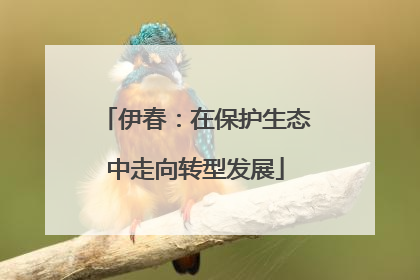 伊春：在保护生态中走向转型发展