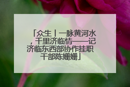 众生丨一脉黄河水，千里济临情——记济临东西部协作挂职干部陈姗姗