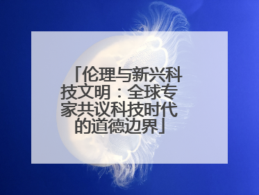 伦理与新兴科技文明：全球专家共议科技时代的道德边界