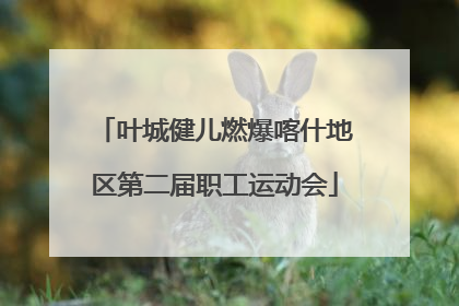 叶城健儿燃爆喀什地区第二届职工运动会