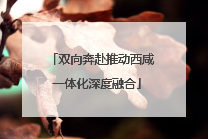 双向奔赴推动西咸一体化深度融合