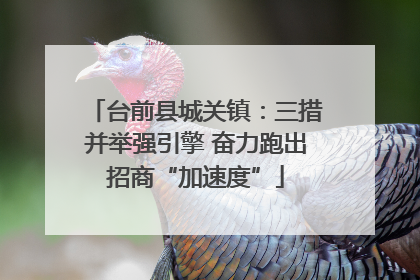 台前县城关镇：三措并举强引擎 奋力跑出招商“加速度”