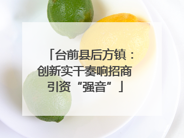 台前县后方镇：创新实干奏响招商引资“强音”