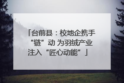 台前县：校地企携手“链”动 为羽绒产业注入“匠心动能”