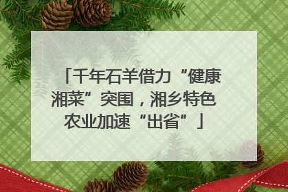 千年石羊借力“健康湘菜”突围，湘乡特色农业加速“出省”