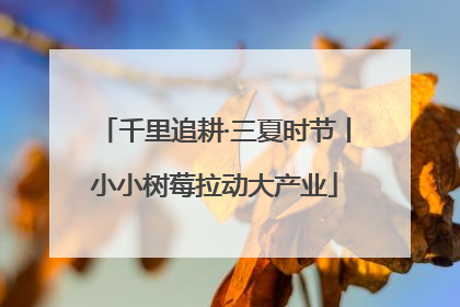 千里追耕·三夏时节丨小小树莓拉动大产业