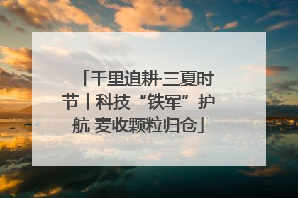 千里追耕·三夏时节丨科技“铁军”护航 麦收颗粒归仓