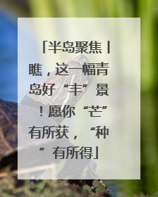 半岛聚焦丨瞧，这一幅青岛好“丰”景！愿你“芒”有所获，“种”有所得