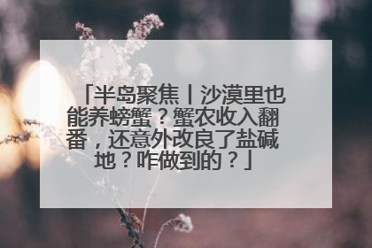 半岛聚焦丨沙漠里也能养螃蟹？蟹农收入翻番，还意外改良了盐碱地？咋做到的？