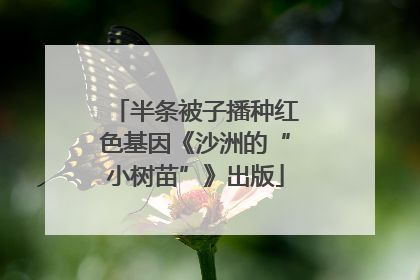 半条被子播种红色基因《沙洲的“小树苗”》出版