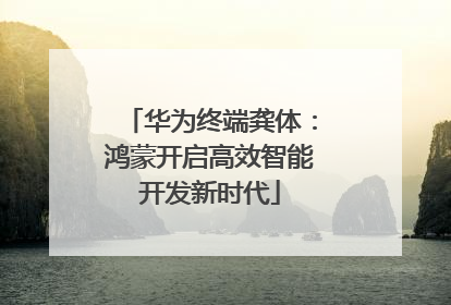 华为终端龚体：鸿蒙开启高效智能开发新时代