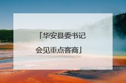 华安县委书记会见重点客商