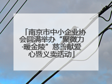 南京市中小企业协会圆满举办“聚微力·暖金陵”慈善献爱心暨义卖活动