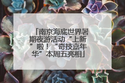 南京海底世界暑期夜游活动“上新”啦！“奇技嘉年华”本周五亮相