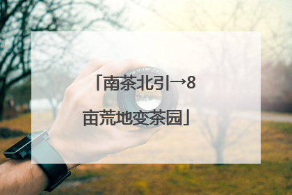 南茶北引→8亩荒地变茶园