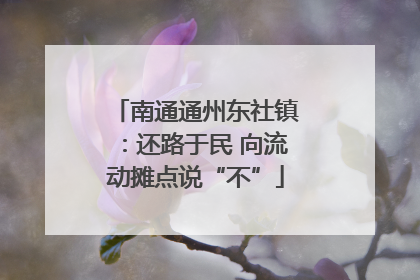 南通通州东社镇：还路于民 向流动摊点说“不”