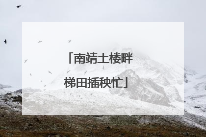 南靖土楼畔 梯田插秧忙