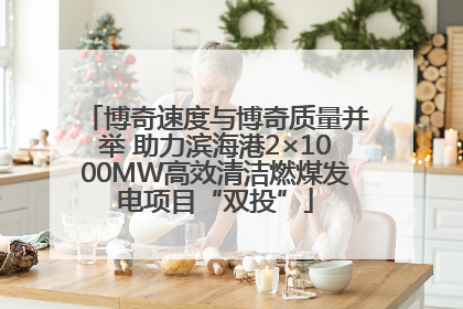 博奇速度与博奇质量并举 助力滨海港2×1000MW高效清洁燃煤发电项目“双投”