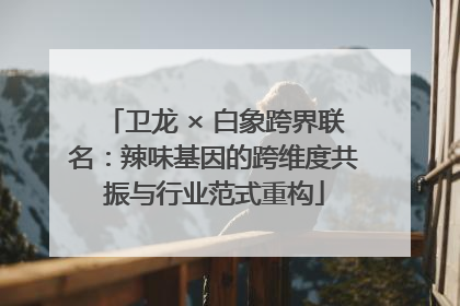 卫龙 × 白象跨界联名：辣味基因的跨维度共振与行业范式重构