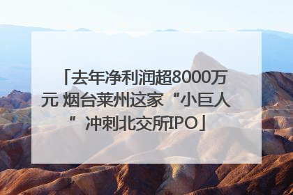 去年净利润超8000万元 烟台莱州这家“小巨人”冲刺北交所IPO