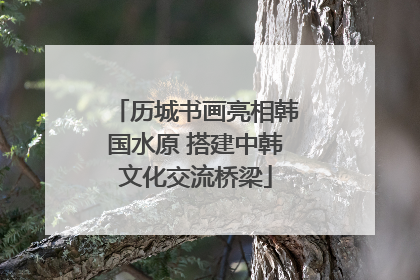 历城书画亮相韩国水原 搭建中韩文化交流桥梁