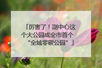 厉害了！副中心这个大公园成全市首个“全域零碳公园”